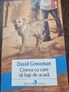 Cineva cu care sa fugi de acasa - David Grossman