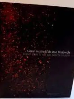 Cioran in Strada - Dan Perjovschi