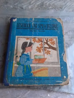 CITIRE SI GRAMATICA LIMBA GERMANA, CLASA II-A