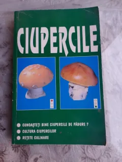 CIUPERCILE, CUNOASTETI BINE CIUPERCILE DIN PADURE?, CULTURA CIUPERCILOR, RETETE CULINARE