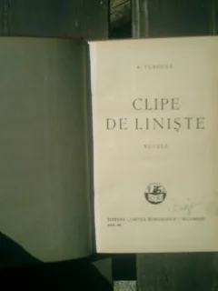 Clipe de liniste - A. Vlahuta