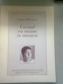 COCOSUL S-A ASCUNS IN TAIETURA - ANGELA MARINESCU