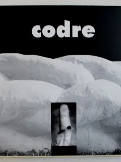 CODRE - SCULPTOR DE DAN ERCEANU , EDITIE IN ROMANA - ENGLEZA - FRANCEZA - ITALIANA