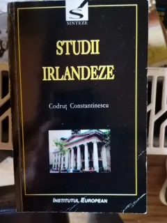 Codrut Constantinescu - Studii Irlandeze