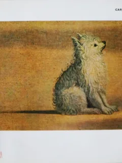COLECTIA ALBERT SKIRA, format mic, CARPACCIO