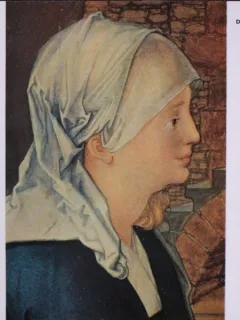 COLECTIA ALBERT, SKIRA, FORMAT MIC, DURER