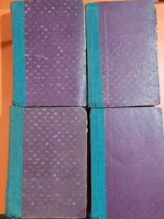 Colegat in 4 volume „Amor si nebunie“, roman foileton