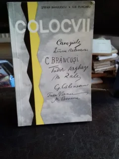 COLOCVII - STEFAN BANULESCU