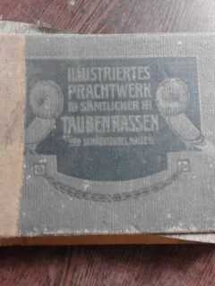 COLUMBOFILIE ILUSTRATA - E. SCHACHTZABEL-HALLE  (TEXT IN LIMBA GERMANA)