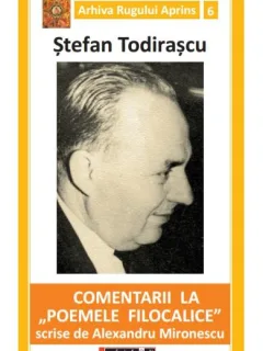 COMENTARII LA POEMELE FILOCALICE - STEFAN TODIRASCU