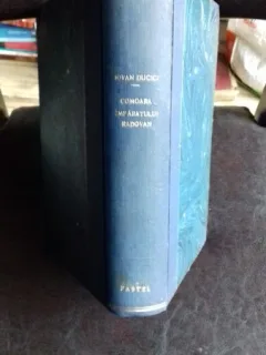 COMOARA IMPARATULUI RADOVAN - IOVAN DUCICI