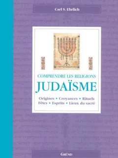 COMPRENDRE LES RELIGIONS. JUDAISME - CARL S. EHRLICH  (origines, croyances, rituels, textes sacrés, lieux du sacréCARTE IN LIMBA FRANCEZA)