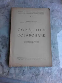 CONSILIILE DE COLABORARE - CORNELIU RUDESCU