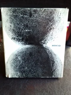 CONSTANTIN BRANCUSI - MIRCEA DEAC