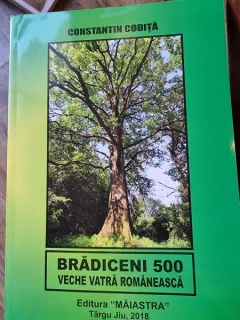 Constantin Codita - Bradiceni 5 - Veche vatra Romaneasca