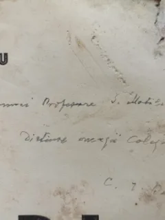 Constantin I. Baciu - Coruri