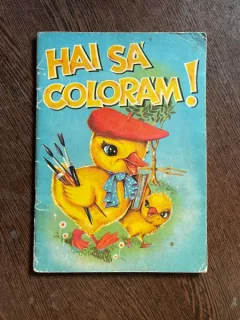 Constantinescu Adrian Hai sa coloram!