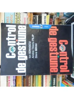 Control de gestiune , Ion Ionascu