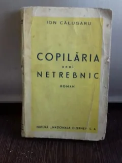 COPILARIA UNUI NETREBNIC - ION CALUGARU