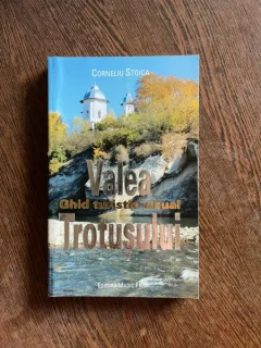 Corneliu Stoica - Valea Trotusului