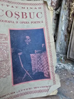 Cosbuc biografia si opera poetica - Octav Minar
