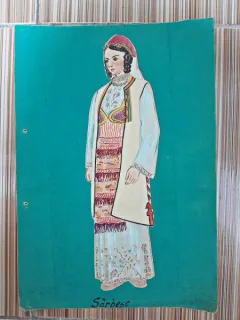 Costum Popular Sarbesc, desen