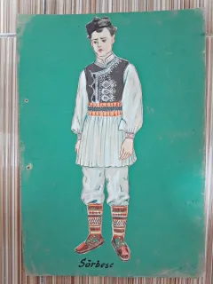 Costum popular sarbesc, desen