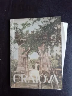 Craiova, ghid istoric - Ion Firu