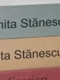 CRasu-Plansu lui Nichita Stanescu - Laurian Stanchescu volumul I+II