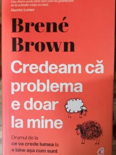 Credeam ca problema e doar la mine - Brene Brown