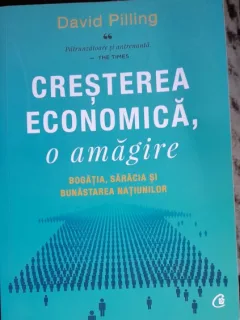 Cresterea economica o amagire - David Pilling