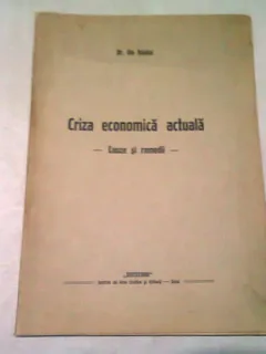 CRIZA ECONOMICA ACTUALA. CAUZE SI REMEDII - ILIE HAIDUC