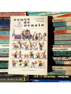 Cruce de Ocazie , Nicuta Tanase