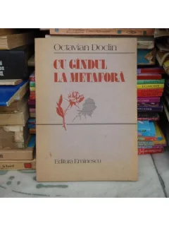 CU GANDUL LA METAFORA , Octavian Doclin , 1989