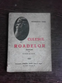 CULESUL ROADELOR - RABINDRANATH TAGORE