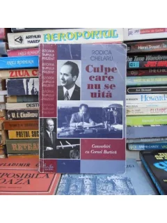 CULPE CARE NU SE UITA , RODICA CHELARU