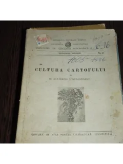 CULTURA CARTOFULUI - ECATERINA CONSTANTINESCU