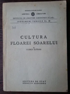 Cultura floarei soarelui - Florica Olteanu