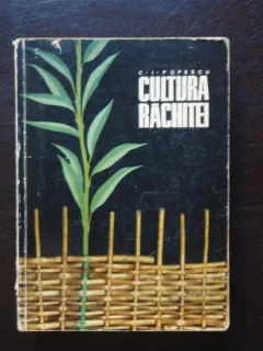 Cultura rachitei - Popescu I. Constantin