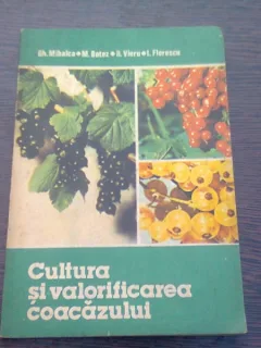 CULTURA SI VALORIFICAREA COACAZULUI - GH. MIHALCA