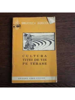 CULTURA VITEI DE VIE PE TERASE