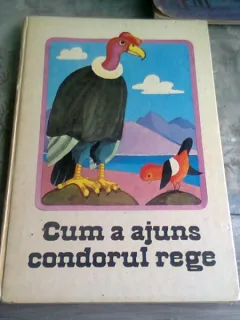 CUM A AJUNS CONDORUL REGE - KURT KAUTER  (POVESTIRI INDIENE)
