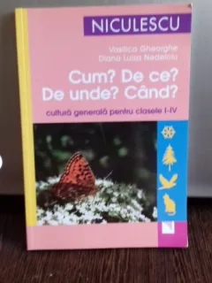 CUM? DE CE? DE UNDE? CAND? - VASILICA GHEORGHE