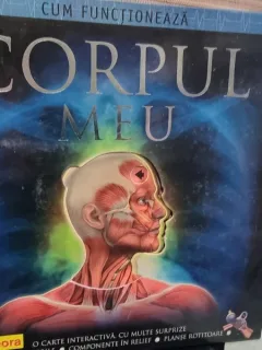 Cum functioneaza corpul meu