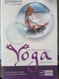 Cum Functioneaza Yoga ? Yoga Sutra (de la autorul cartii Slefuitorul de Diamante)