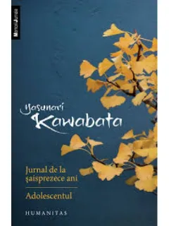CUM MI-AM PETRECUT VACANTA DE VARA - T.O. BOBE