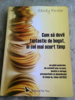 CUM SA DEVII FANTASTIC DE BOGAT, IN CEL MAI SCURT TIMP