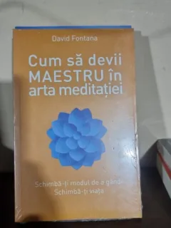 Cum sa devii maestru in arta meditatiei - David Fontana