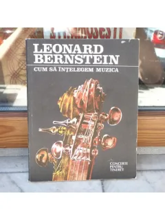 Cum sa intelegem muzica , Leonard Bernstein , 1991