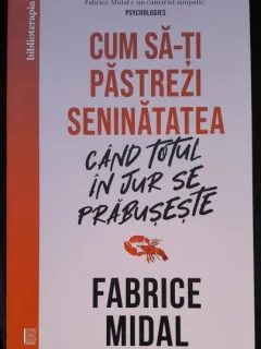 Cum sa-ti pastrezi seninătatea cand totul in jur se prabuseste - Fabrice Midal